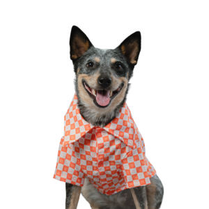 camisa de botones para mascota color naranja con blanco de cuadros talla l de la marca parda