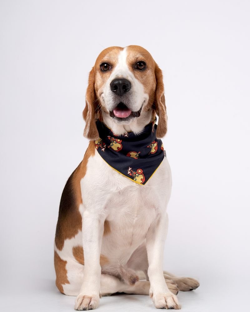 bandana para mascota en panama