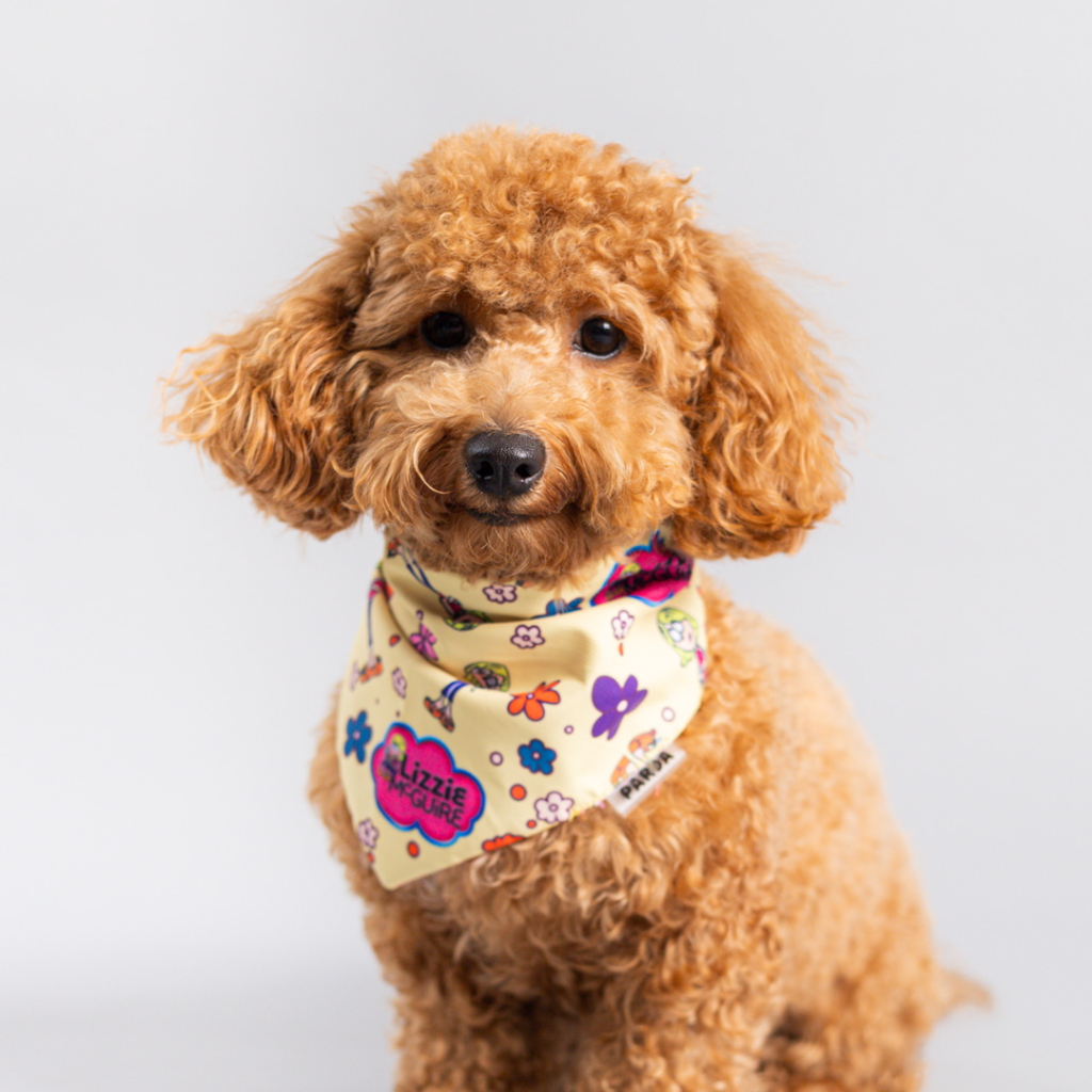 bandanas para mascotas en panama