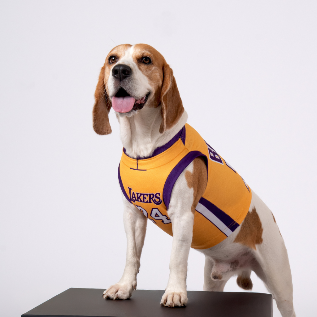 sueteres para mascotas en panama